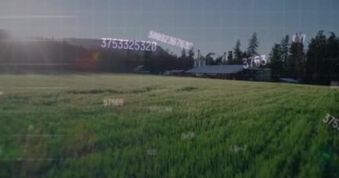 Animation of changing numbers and financial data processing against aerial view of grassland. Global finance and business technology concept