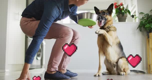 Анімація Червоних Значків Серця Над Білою Жінкою Собакою Національна Любов — стокове відео
