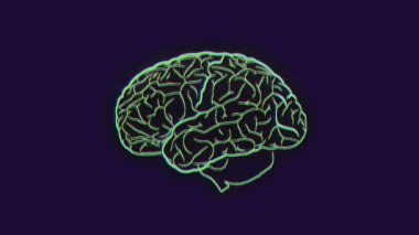 Animation of digital brain on black background. Abstract background, movement and digital interface concept digitally generated video.