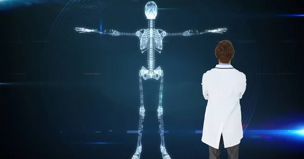 Composition of male doctor using virtual screen with skeleton model. global medicine and digital interface concept digitally generated image.