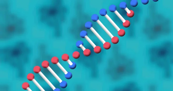 Image of dna strand spinning on blue background. science and research concept digitally generated image.