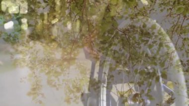 Animation of tree overlay over man in wheelchair in park. Disability and health awareness concept digitally generated video.