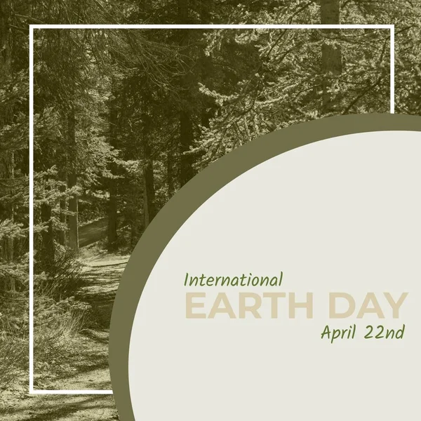 Composite Pine Trees Growing Forest International Earth Day April 22Nd — Stok fotoğraf