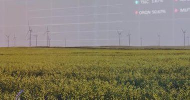 Çayır üzerinde dönen yel değirmenlerine karşı istatistiksel ve borsa veri işleme animasyonu. Küresel ekonomi ve yenilenebilir enerji teknolojisi kavramı