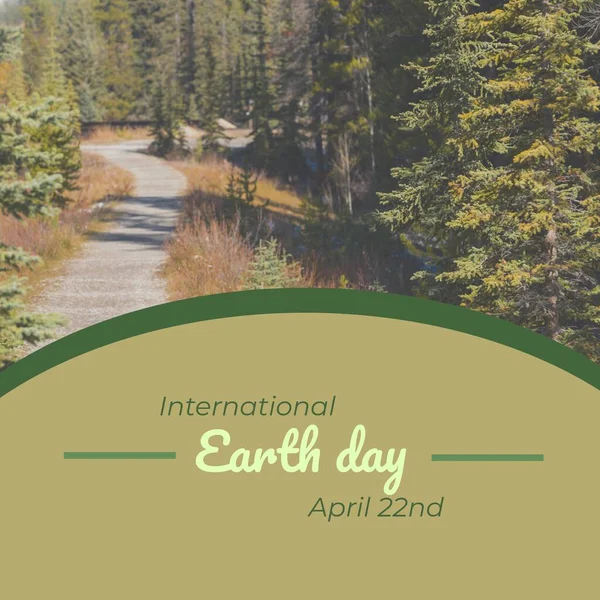 Image of international earth day text over fir tree forest. International earth day, nature and celebration concept digitally generated image.