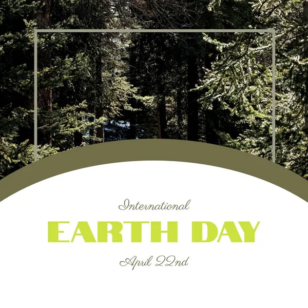 Image of international earth day text over fir tree forest. International earth day, nature and celebration concept digitally generated image.