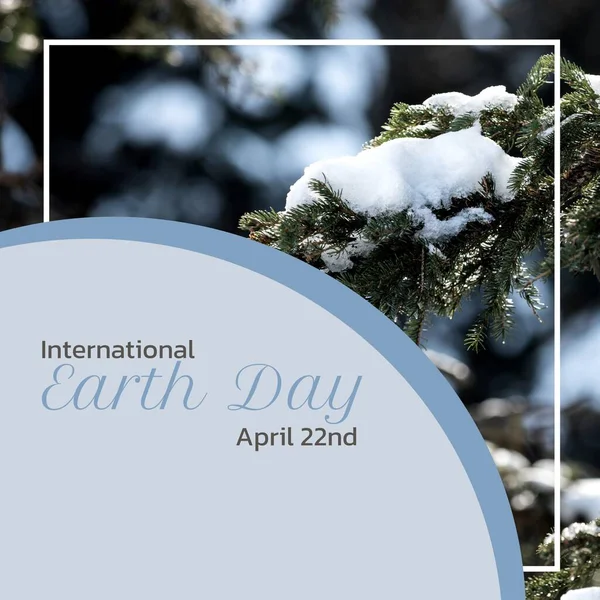 Image of international earth day text over fir tree branches with snow. International earth day, nature and celebration concept digitally generated image.