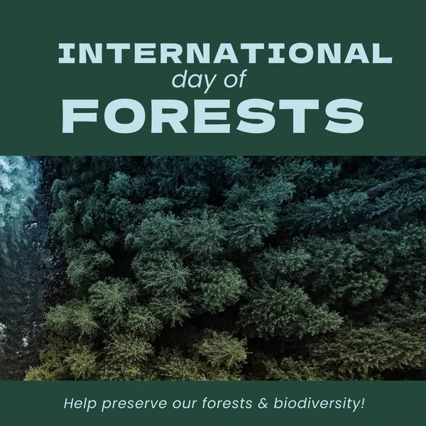 Composition International Day Forests Text Trees International Day Forests Nature — Stockfoto