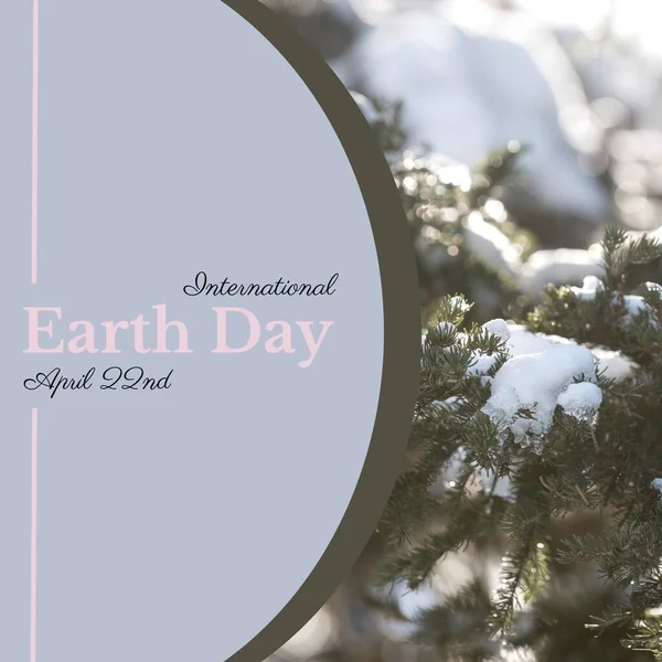 Image of international earth day text over fir tree branches with snow. International earth day, nature and celebration concept digitally generated image.