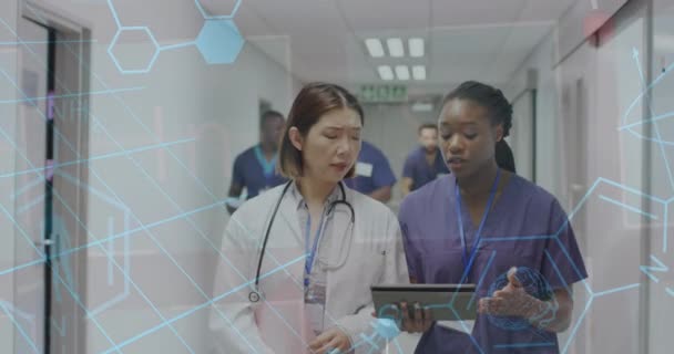 Moleküler Yapıların Animasyonu Hastanede Konuşan Çeşitli Kadın Doktorların Tıbbi Verileri — Stok video