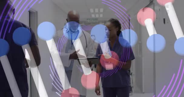 Animáció Dns Szál Afro Amerikai Női Férfi Orvos Tabletta Beszél — Stock videók