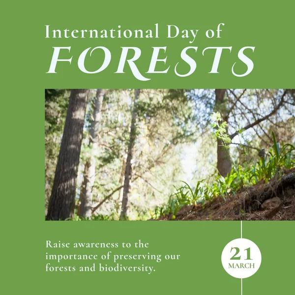 Composition International Day Forests Text Forest Green Background International Day — Stockfoto