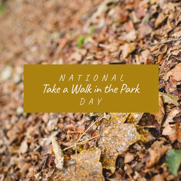 Image of national take a walk in the park day text over fall leaves. National take a walk in the park day and celebration concept digitally generated image.