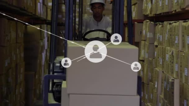 Animacja Sieci Profili Nad Afrykańskim Amerykańskim Pracownikiem Pracującym Wózku Widłowym — Wideo stockowe