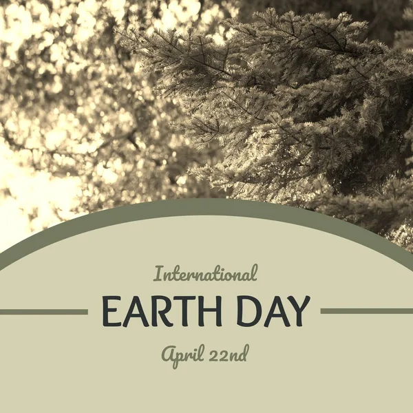 Image of international earth day text over fir tree branches. International earth day, nature and celebration concept digitally generated image.