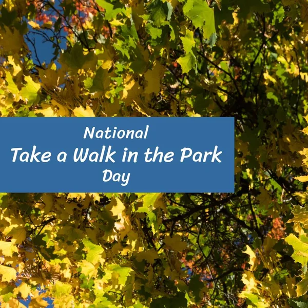 Composition National Take Walk Park Day Text Leaves Blue Background — Stockfoto