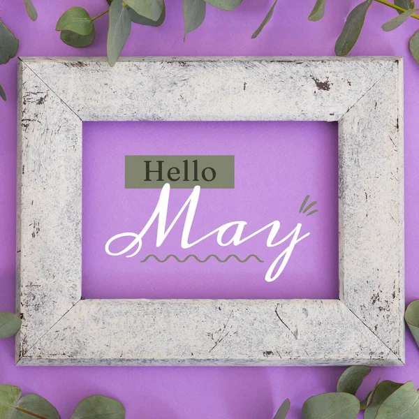 Composition of hello may text over green leaves. May, flowers, nature and celebration concept digitally generated image.