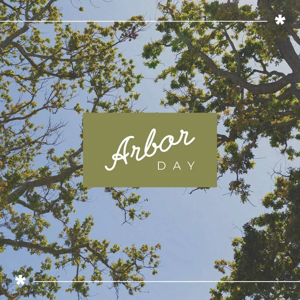 Composition of arbor day text over trees. Arbor day and nature concept digitally generated image.