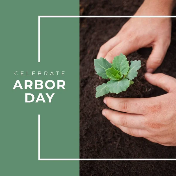 Composition of celebrate arbor day text over hands holding plant. Arbor day and nature concept digitally generated image.
