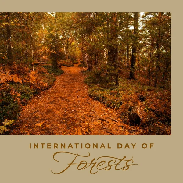 Composition International Day Forests Text Trees International Day Forests Nature — Stockfoto
