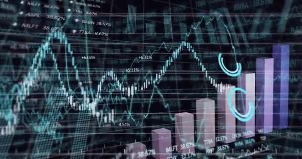 Animation Financial Data Processing Grid Global Business Finances Computing Data — Video