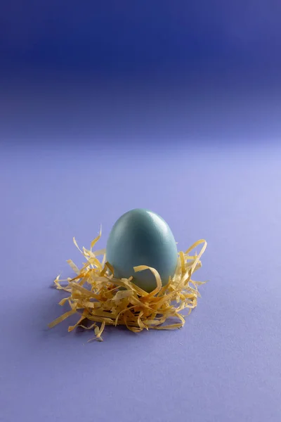 Image of blue easter egg in straw and copy space on purple background. Easter, religion, tradition and celebration concept.