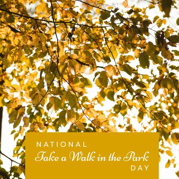 Composition of national take a walk in the park day text over branch and leaves. National take a walk in the park day and celebration concept digitally generated image.