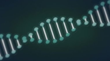 Siyah arkaplandaki bağlantı ağının üzerindeki DNA iplikçiklerinin animasyonu. Küresel teknoloji, bilgisayar ve dijital arayüz kavramı dijital olarak oluşturulmuş video.