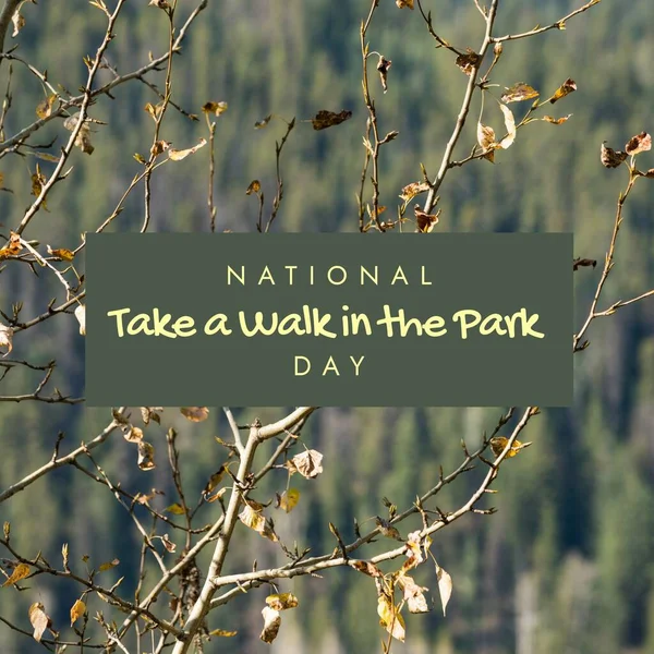 Composition National Take Walk Park Day Text Branch National Take — Stockfoto