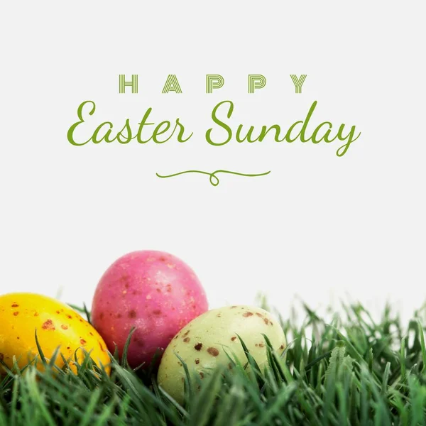 Image of happy easter sunday text over chocolate easter eggs on grass. Easter sunday and celebration concept digitally generated image.
