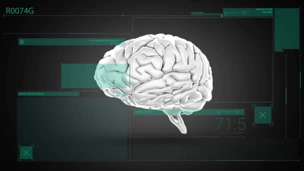 Анимизация Человеческого Мозга Обработка Данных Глобальная Наука Исследования Вычисления Обработка — стоковое видео