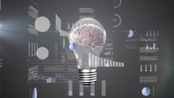 Animace Lidského Mozku Žárovky Zpracování Dat Globální Věda Výzkum Výpočetní — Stock video