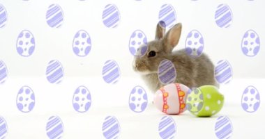 Tavşanlı Paskalya yumurtaları ve mutlu paskalya metinleri. Paskalya, gelenek ve kutlama konsepti dijital olarak oluşturuldu.