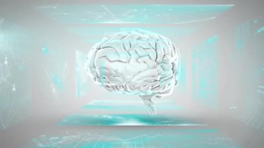 İnsan beyni ve veri işleme animasyonu. Küresel bilim, araştırma, hesaplama ve veri işleme kavramı dijital olarak oluşturulmuş video.