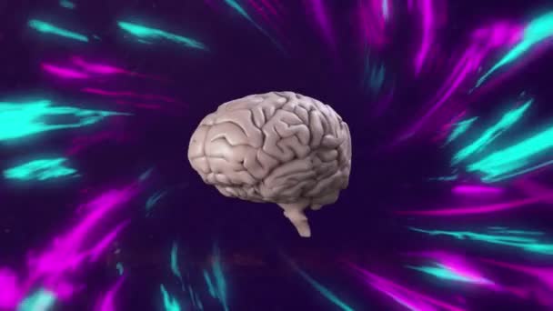 Κινούμενα Σχέδια Του Ανθρώπινου Εγκεφάλου Πάνω Από Λαμπερά Μονοπάτια Φωτός — Αρχείο Βίντεο