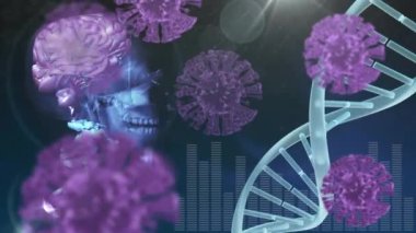 DNA dizilimi, covid 19 hücre ve veri işleme animasyonu. Küresel covid 19 salgın, bilim, bilgisayar ve veri işleme kavramı dijital olarak oluşturulmuş video.