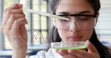 Melez kadın bilim adamı üzerinden bilimsel veri işleme animasyonu. Bilim, araştırma, hesaplama ve veri işleme kavramı dijital olarak oluşturulmuş video.