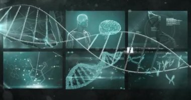 Mavi arka plan üzerinde tıbbi veri işleme ile ekranların üzerinde DNA yapısının animasyonu. Tıbbi araştırma ve bilim teknolojisi kavramı
