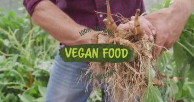 Çiftlikte çiftçilik yapan beyaz erkek çiftçi üzerine vejetaryen yemek mesaj pankartı animasyonu. Vegan, organik ve sağlıklı gıda konsepti