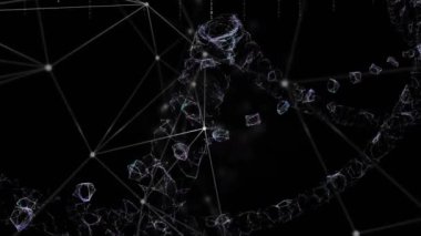Bağlantılar animasyonu, ikili kodlama ve veri işleme. Küresel ağlar, dijital arayüz, hesaplama ve veri işleme kavramı dijital olarak oluşturuldu.