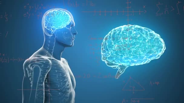 Matematiksel Denklemler Mavi Zemin Üzerinde Insan Beyni Vücudunun Animasyonu Dijital — Stok video