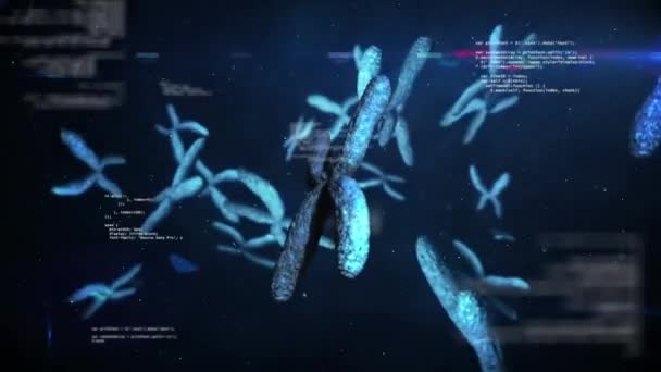 Kromozomların Animasyonu Dönen Dna Yapıları Mavi Arka Planda Veri Işleme — Stok video