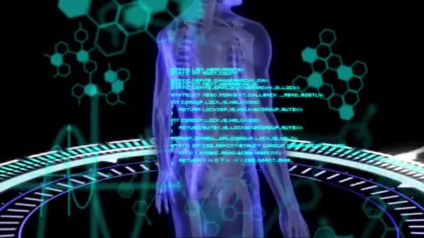 Animation Der Wissenschaftlichen Datenverarbeitung Über Den Menschlichen Körper Globales Konzept — Stockvideo
