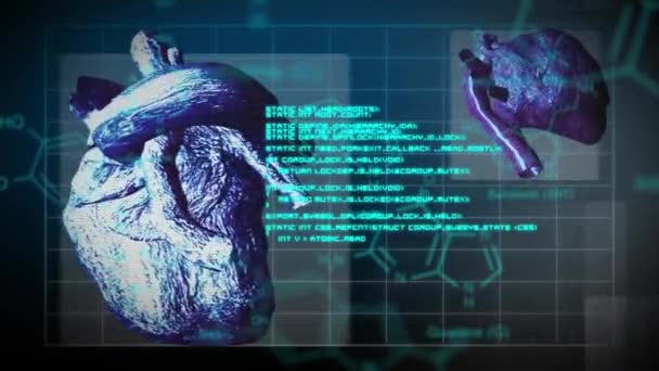 Animering Vetenskapliga Data Bearbetning Över Människans Hjärta Global Vetenskap Forskning — Stockvideo