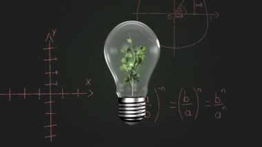 Matematiksel denklemler ve diyagramlar üzerinden ampul içinde bitki animasyonu. Dijital olarak üretilmiş, hologram, fikirler, aydınlatılmış, formüller, yeşil enerji ve teknoloji kavramı.