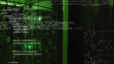 Bilgisayar sunucularının animasyonu ve veri işleme. Küresel ağlar, dijital arayüz, veri işleme ve bağlantılar konsepti dijital olarak oluşturuldu.