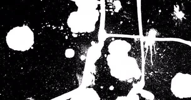 黑色和白色污迹的动画在移动 数字视频产生的背景和模式概念 — 图库视频影像