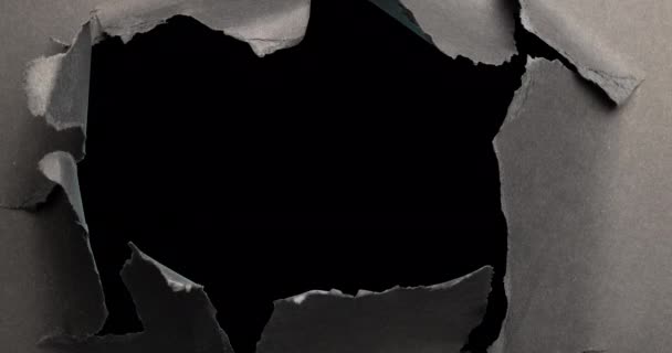 Animace Černobílého Natrženého Papíru Černém Pozadí Abstraktní Koncept Pozadí Vzor — Stock video