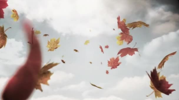 Animacja Liści Klonu Unoszących Się Nad Chmurami Niebie Koncepcja Jesienno — Wideo stockowe