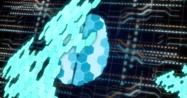 Dijital beyin animasyonu, bilgisayar devre kartında veri işleme. Küresel çevrimiçi güvenlik, veri işleme, dijital arayüz ve bağlantılar konsepti dijital olarak oluşturuldu.